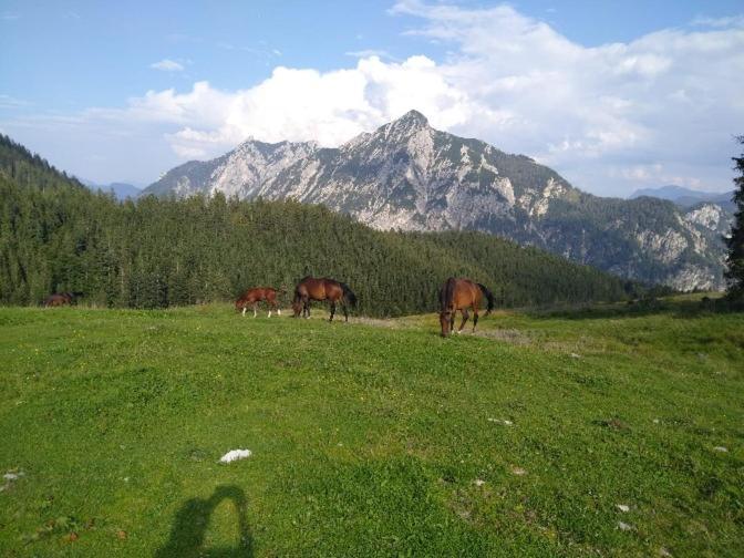 Mountainlove Strobl Extérieur photo